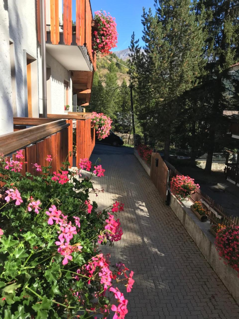 Hotel La Nigritella Бардонеккия Экстерьер фото